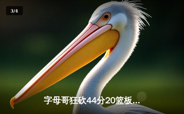字母哥狂砍44分20篮板刷新纪录 雄鹿加时险胜76人迎来三连胜 - 3